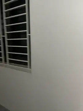 vietAnhzip