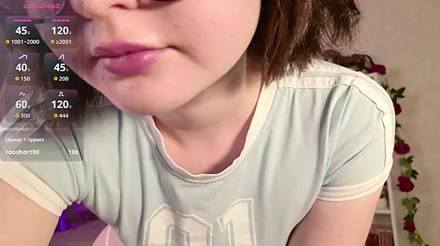 LeraKit webcam
