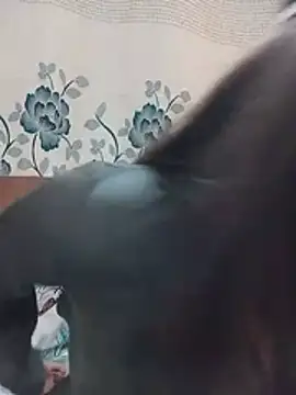 cute_girl_29 webcam