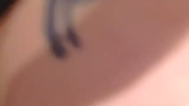 Mooseme122388 webcam