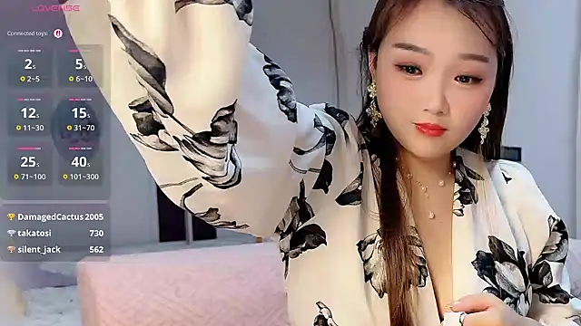 EE-01 webcam