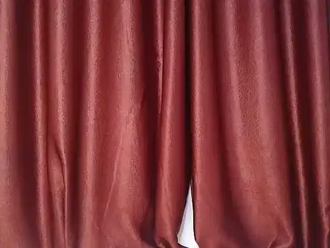 sexylenvix webcam