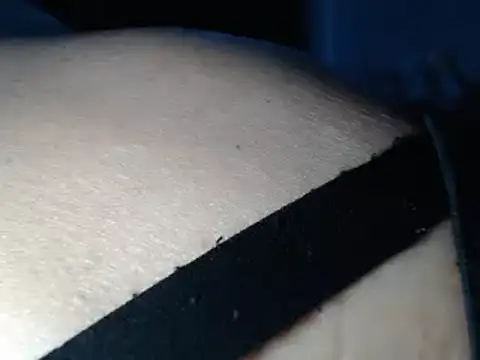IMAGatMARK webcam