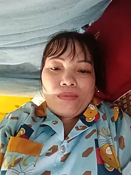 Sana-vn webcam