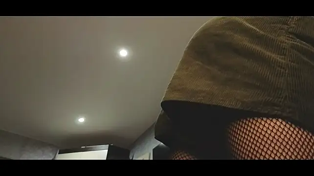 Aurisinst webcam