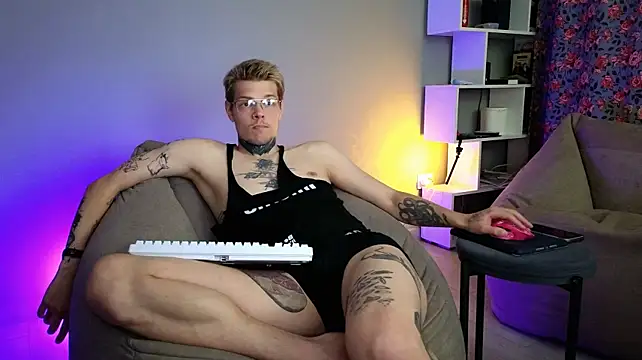 DENIS_HERE webcam