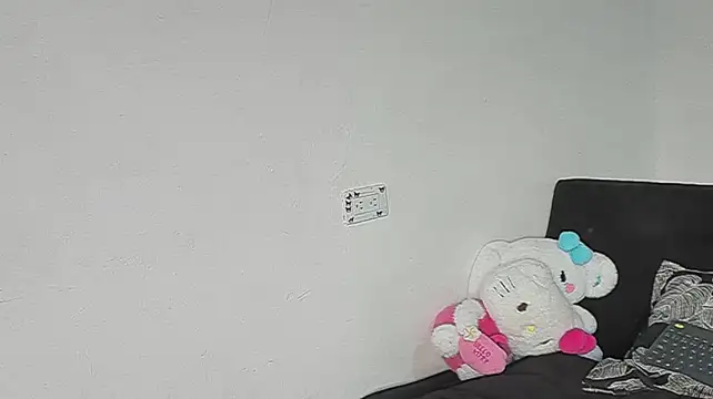 Eirlysx webcam