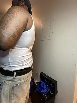 Tattedupdek webcam
