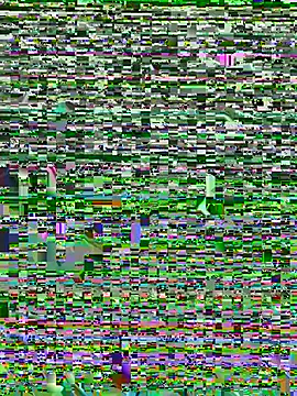 Hugodonatello webcam