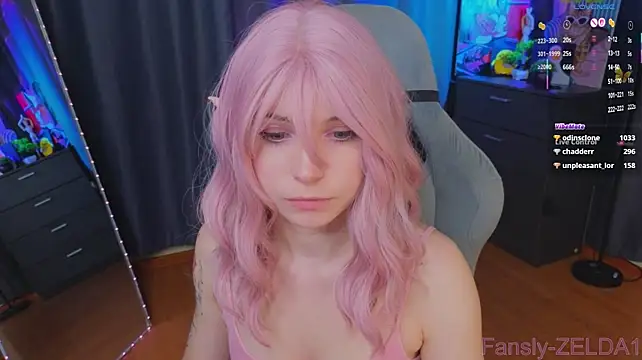 zelda_1 webcam