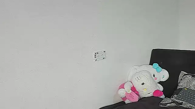 Eirlysx webcam