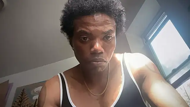 frenchiego webcam