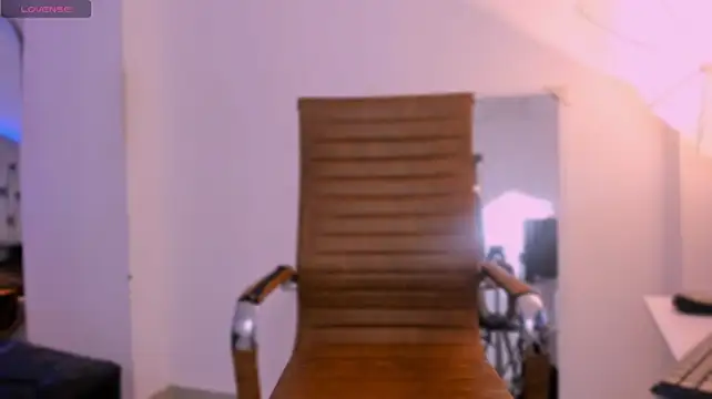 Lua_Foxy webcam