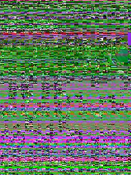hugosouza2567 webcam