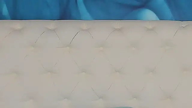 SkinnyDolly webcam