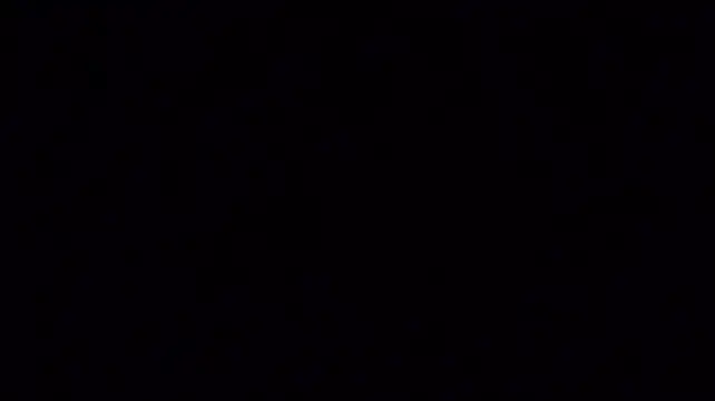 laylavg webcam