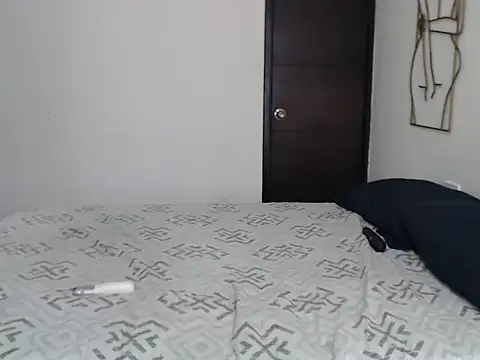 braddhott_ webcam