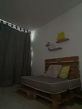 Aria-1212 webcam