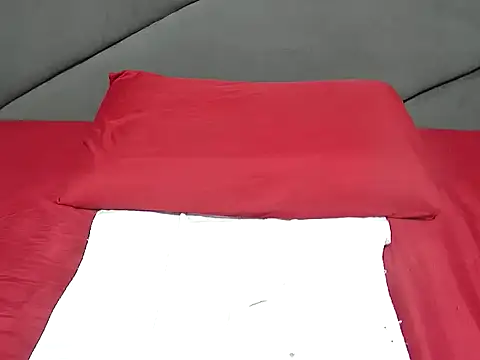 portiax webcam