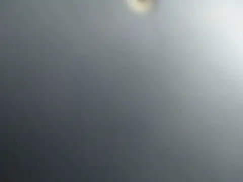damiancam1 webcam