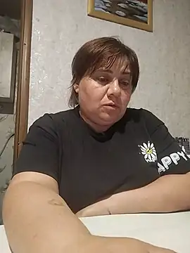 BlazeEchoho webcam