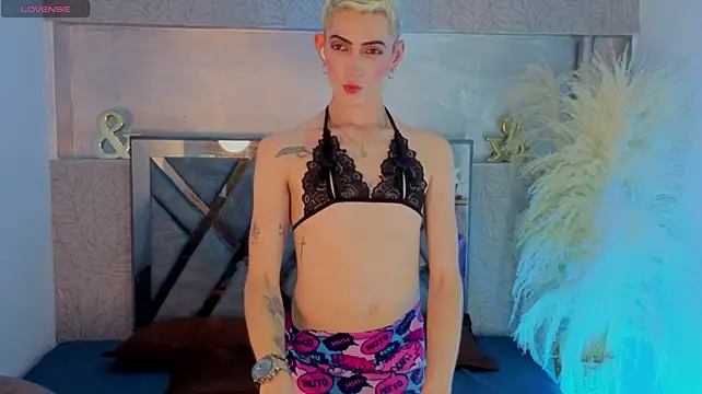 dominic_thailor webcam