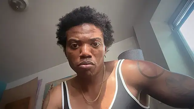 frenchiego webcam