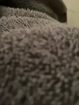 chicopolla18 webcam