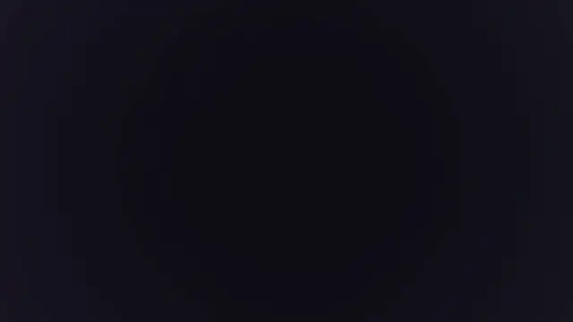 fl3xxx1 webcam