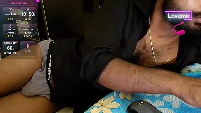 SilverShade3 webcam