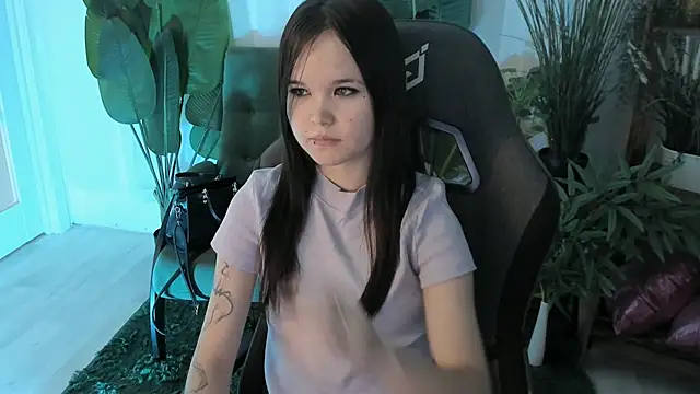 Elainebeness webcam