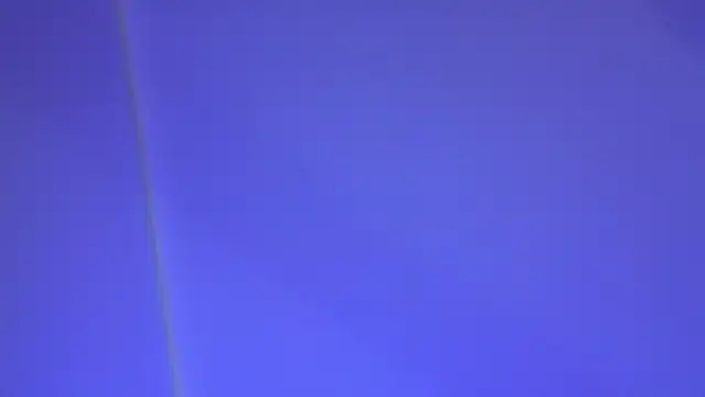 Yan_Cat webcam