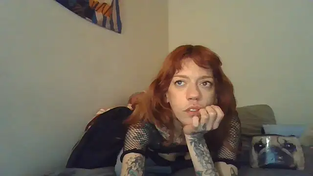 simechasi webcam