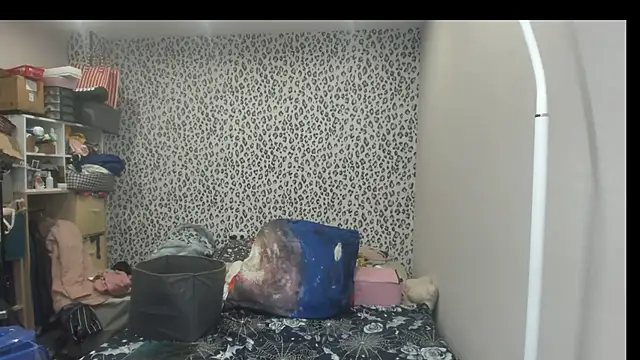switchlorenx webcam