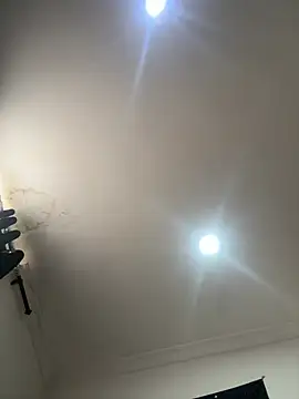 pawmistry webcam