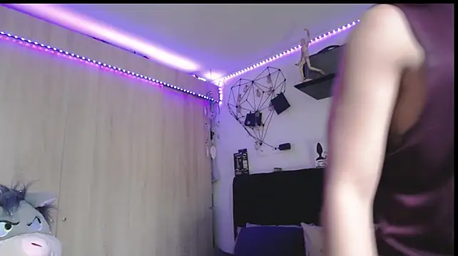 Santiago_kiler webcam