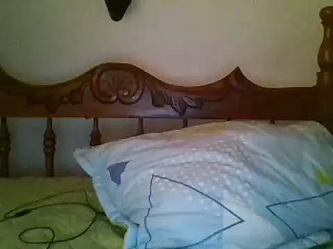bbccol1 webcam