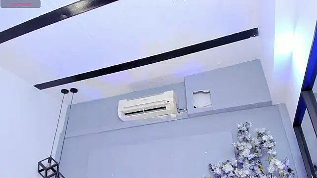 Cloedurant webcam