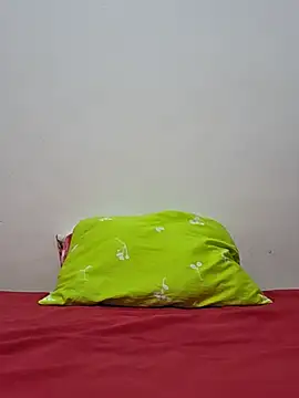 altinya webcam