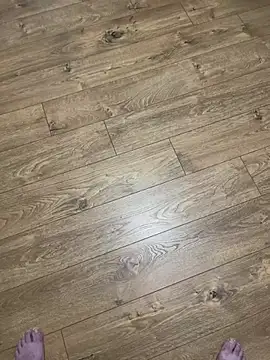 ladimi1 (M mature) - 500