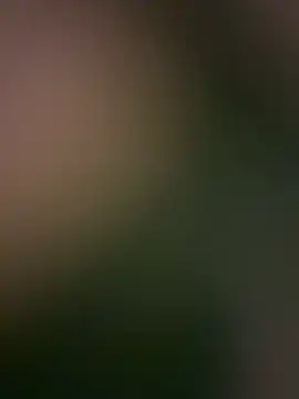 Kendall__evanss webcam