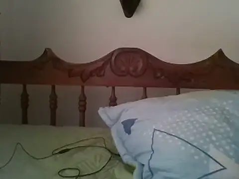 bbccol1 webcam