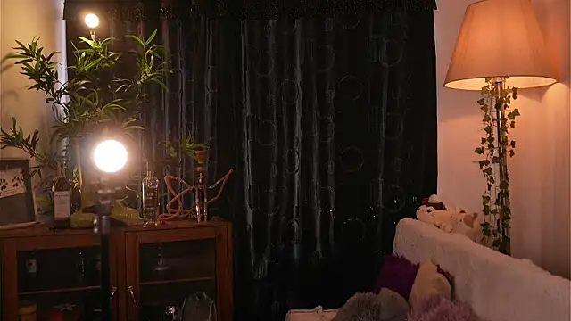 soidai_miiu webcam