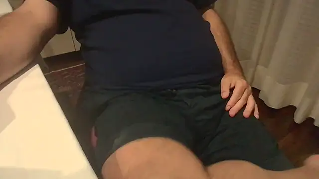 polloiw webcam