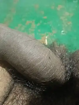 blackchocolateforest webcam