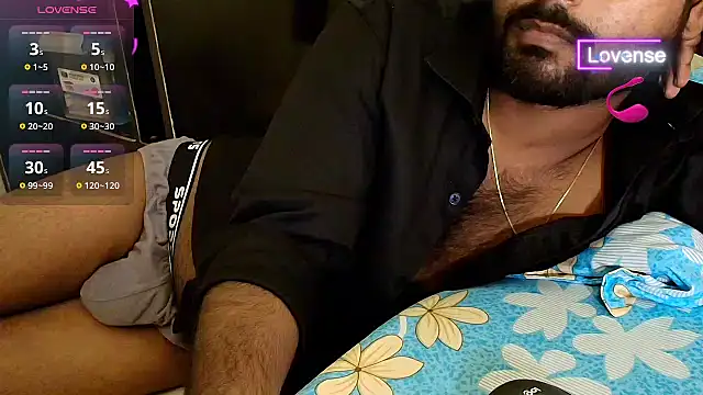 SilverShade3 webcam