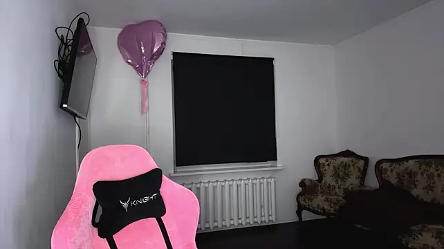 neweva_ webcam