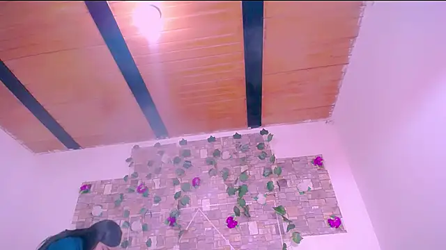 MaidenGame webcam