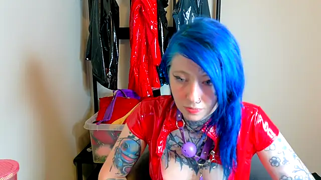 coyemoo webcam