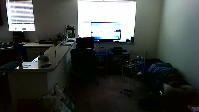 Q1357q webcam